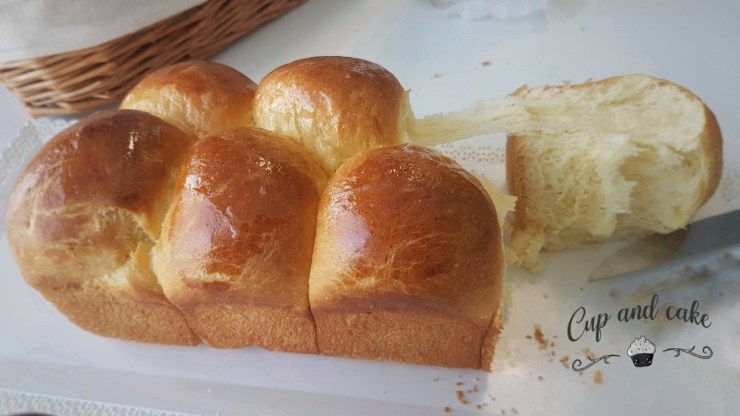 85230644_516481749011281_2747857193364619264_n