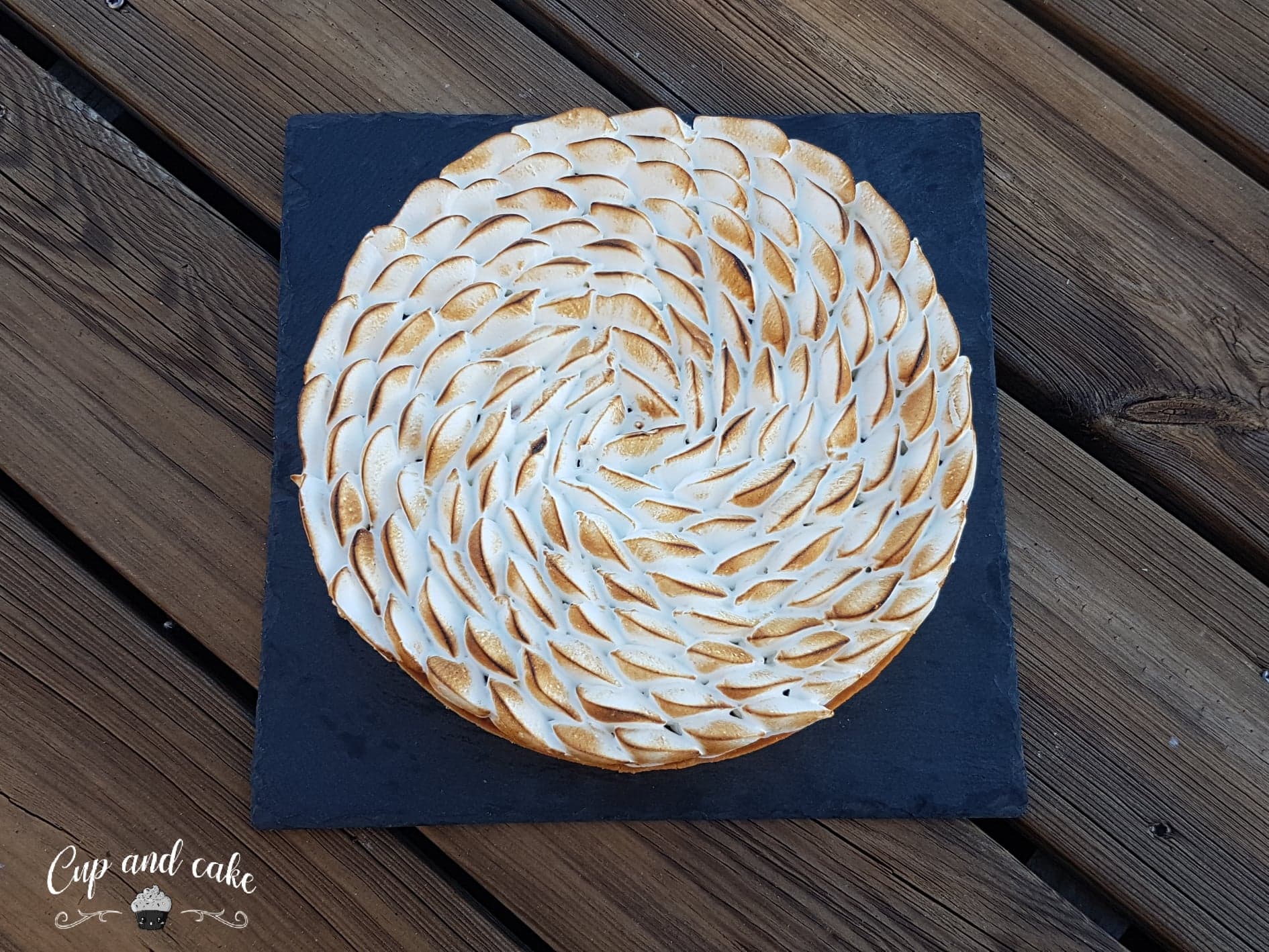 101045254_248371933054405_4169838710935781376_n