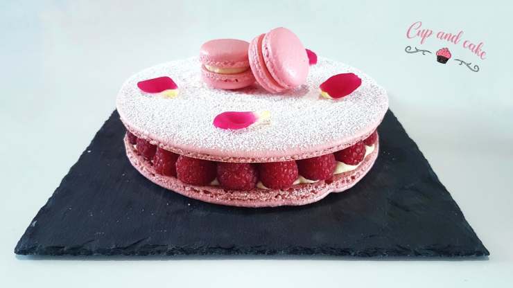 106363164_314829339541082_2117428458052025244_n