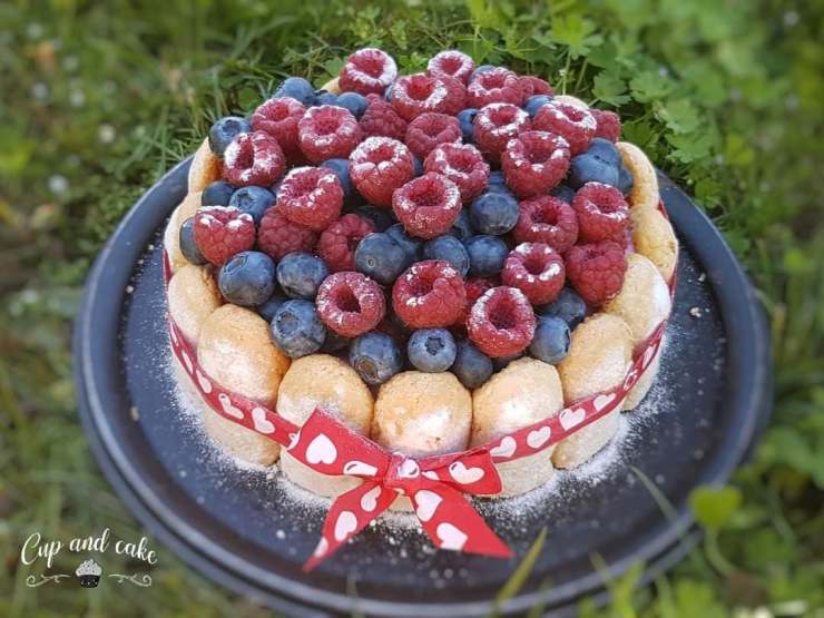 158908206_737573246835339_8309064241380335494_n