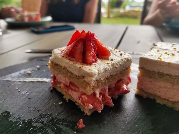 286064955_995263987802269_1753624391587689689_n