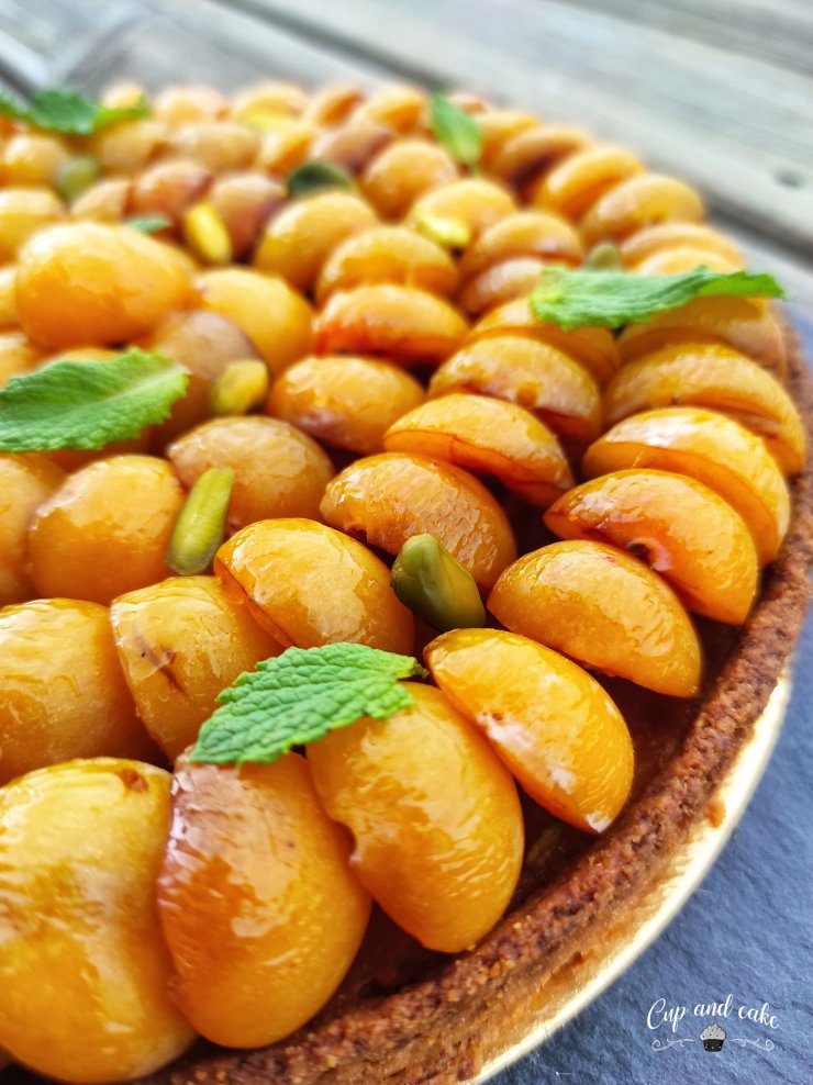 297208303_2358531327639293_2623767168865339955_n