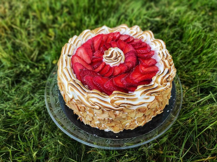 341878713_189407860609329_6929615443816398482_n